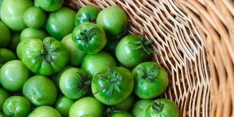 تصویر 2 از گوجه فرنگی سبز محلی ترش پخت